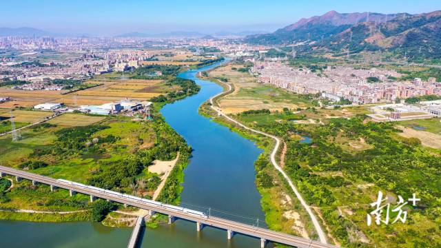 治理后的练江青洋山桥国考断面。